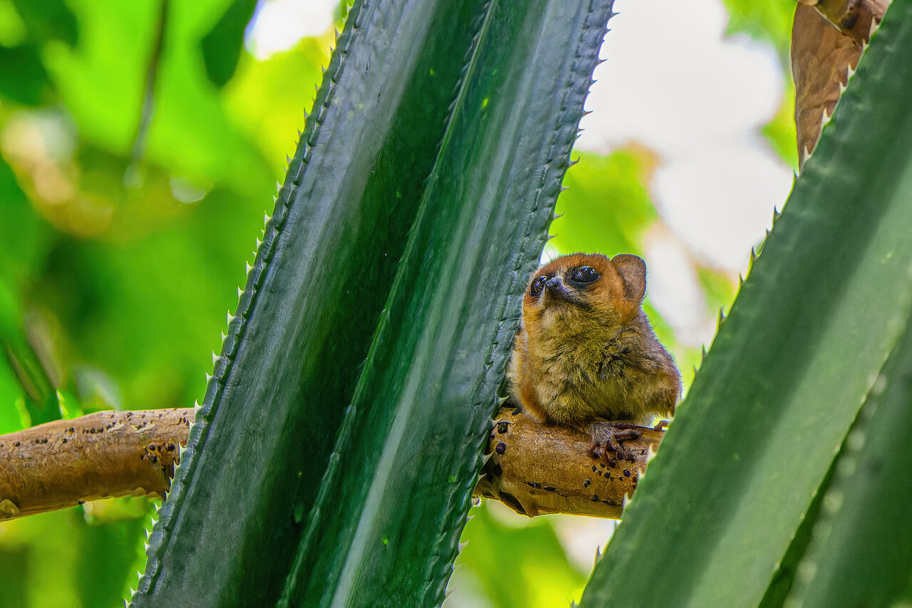 Zurich Zoo Publishes Annual Report 2023