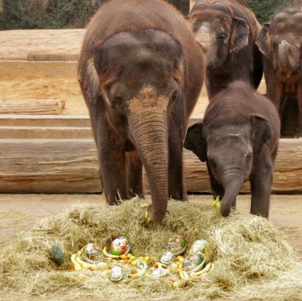 Frohe Ostern!