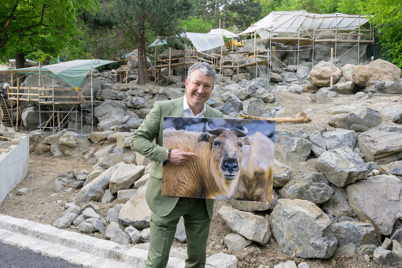 Tiergarten Schönbrunn baut neue Gebirgstieranlage