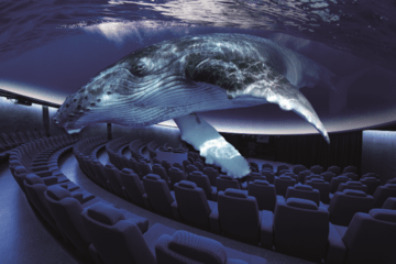 Spanien: Palma Aquarium präsentiert neue Kuppel-Attraktion „Giganten der Ozeane“