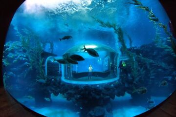 Gran Canaria: “Poema del Mar“ Aquarium Welcomes First Visitors