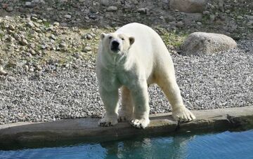 Germany: New Polar Theme World “Polarium“ Now Open for Visitors at Zoo Rostock