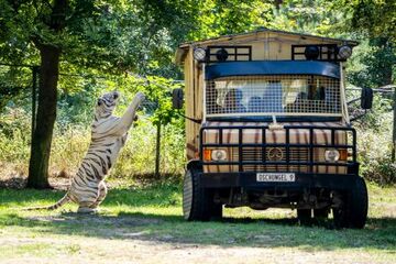 Deutschland: Serengeti-Park Hodenhagen lockt Besucher mit neuer Raubtier-Safari