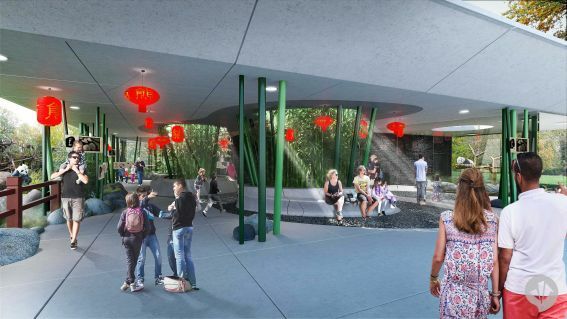Deutschland: Pläne für neue Panda-Anlage im Zoo Berlin enthüllt