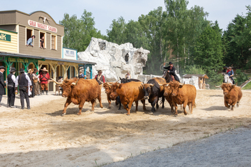 Things Are Moving Forward: Pullman City Announces Re-opening Dates