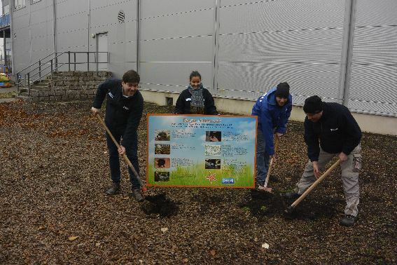 Germany: SEA LIFE Speyer to Built New Outdoor Area for Turtles