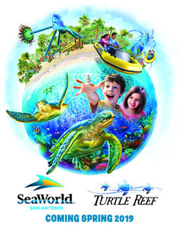 SeaWorld Parks & Entertainment Announces Further Park Novelties for 2019