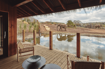 GB: Sleeping with Elefants and Cheetahs – West Midland Safari Park Opens Safari Lodges Overnight Accommodation 