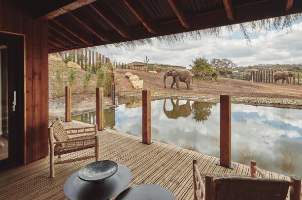 GB: Schlafen bei Geparden und Elefanten – West Midland Safari Park eröffnet Safari Lodges