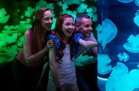 Australien: Sea World Marine Park lockt Besucher mit neuer Quallen-Präsentation