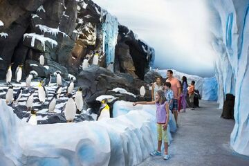 „Antarctica: Empire of the Penguin“ in SeaWorld Orlando eröffnet 