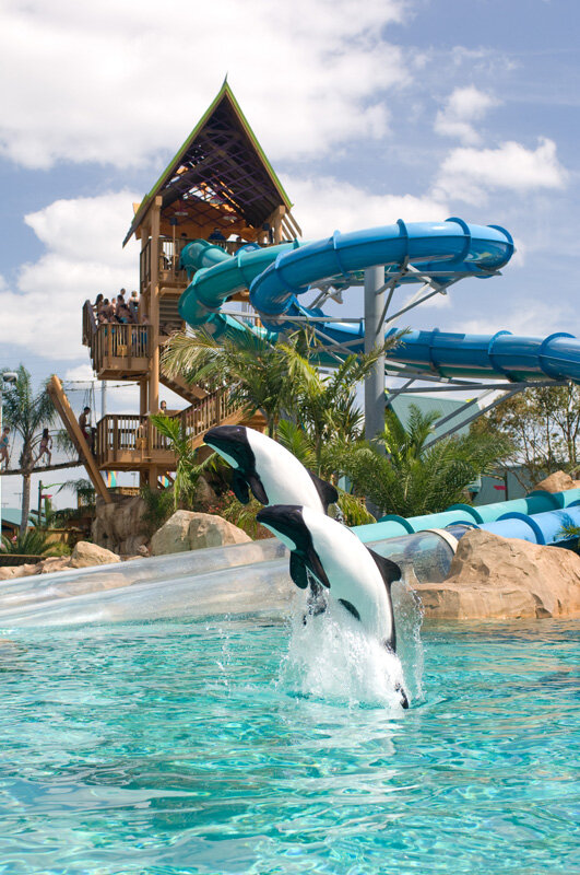 New Ride for SeaWorld’s Aquatica