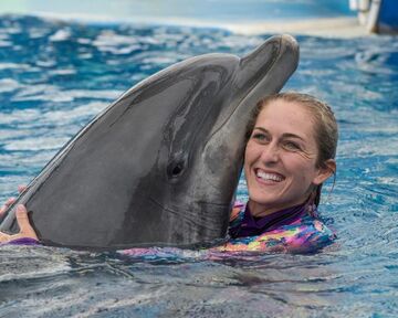 USA: „Dolphin Days“-Show ab August im SeaWorld San Diego 