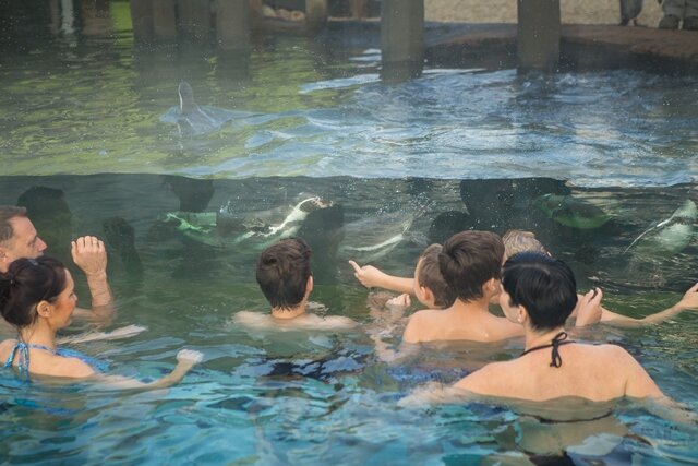 Germany: Re-opening of Adventure Pools & Spas in Germany Goes Forward