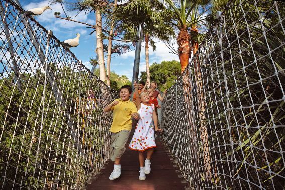 Erster Hochseilgarten auf Teneriffa eröffnet