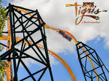 FL/USA: Busch Gardens kündigt Multi-Launch-Coaster „Tigris“ für 2019 an