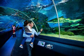 Istanbul/Türkei: Turkuazoo-Aquarium gehört nun zu Merlin 