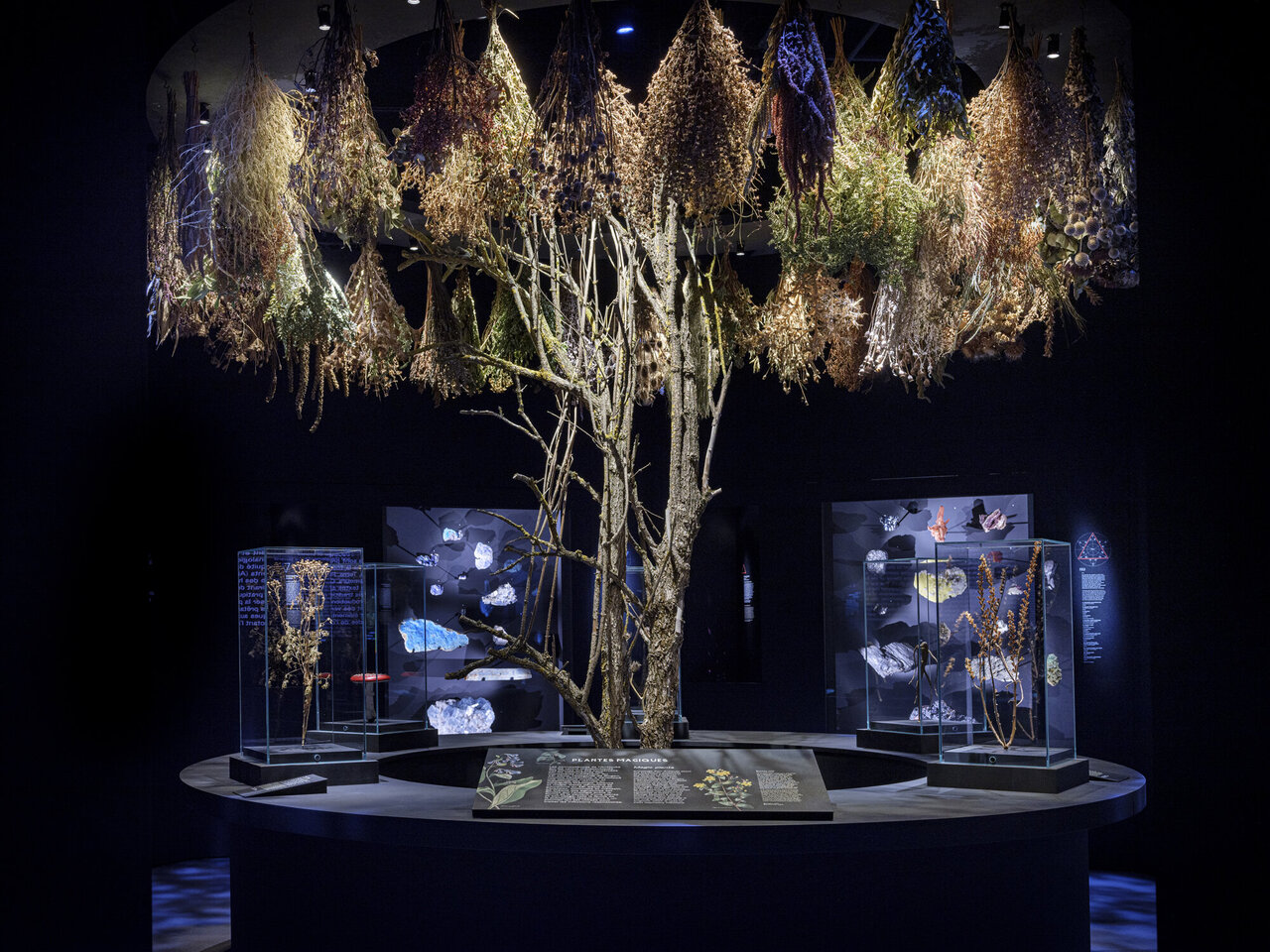 Übersee-Museum Bremen Plans Special Exhibition about “Magic”