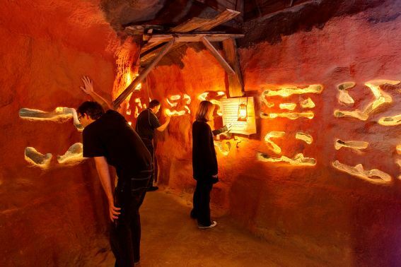 Zoo Osnabrueck Plans to Open New Bat Cave in 2017
