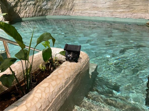 Germany: New Virtual Snorkeling Experience at Center Parcs Allgäu