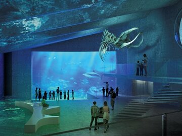Österreich: Tiergarten Schönbrunn plant neues Aquarienhaus – Eröffnung für 2023 vorgesehen