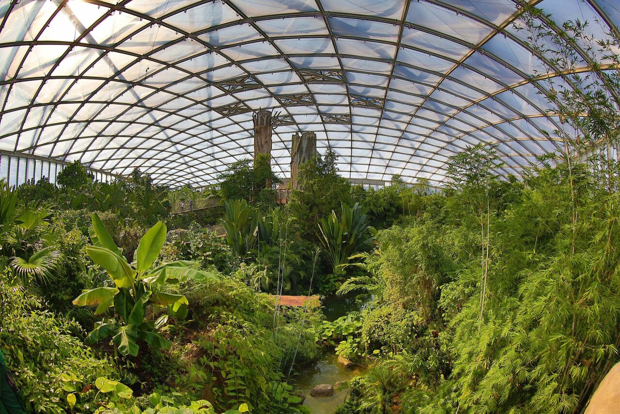 Leipzig Zoo to Host the EAZA 2024 Next Week
