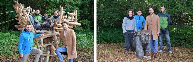 Germany: Rostock Zoo Presents New Wooden Gorilla Sleeping Nests