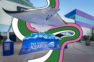 USA: Florida Aquarium Reopens as of Today  