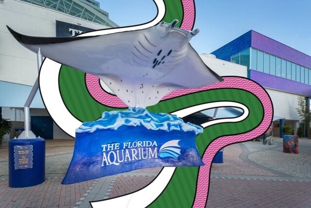 USA: Florida Aquarium öffnet wieder für Besucher