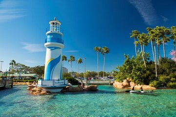 USA: SeaWorld Entertainment-Parks in Florida ab 11. Juni wieder in Betrieb